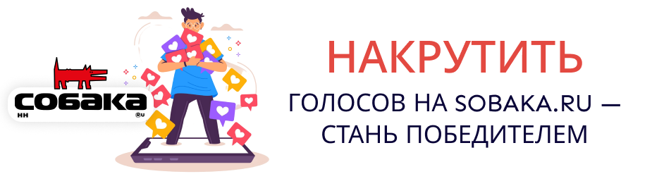 Накрутка голосов на Sobaka.ru