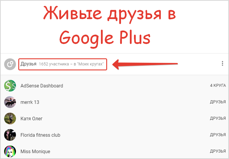 Результат рекламной компании Google Plus