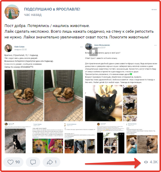 Пример накрутки просмотров у поста Вконтакте